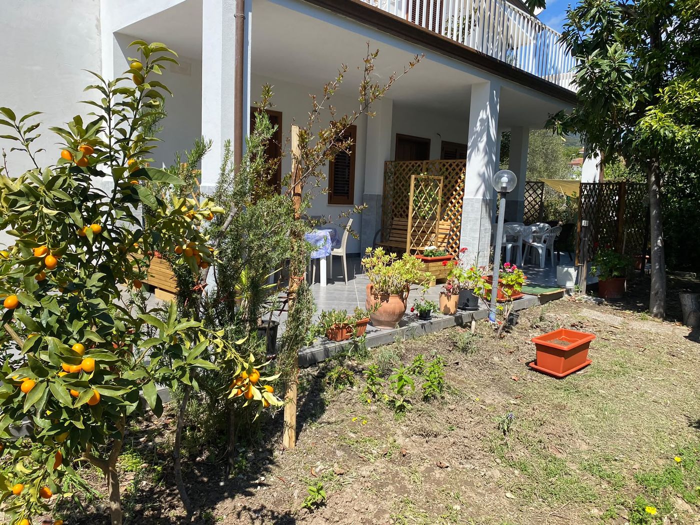 Giardino - esterno della casa